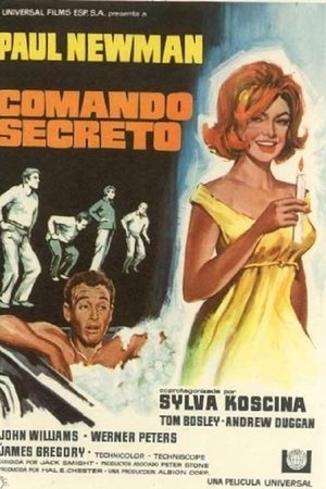 Imagen de Comando secreto
