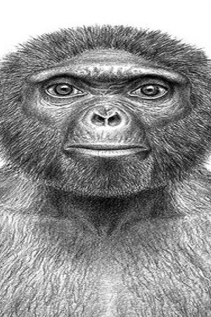The Extraordinary Story of Man (1) (Second Version)