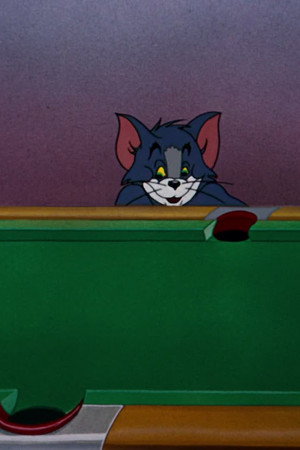 Cue Ball Cat
