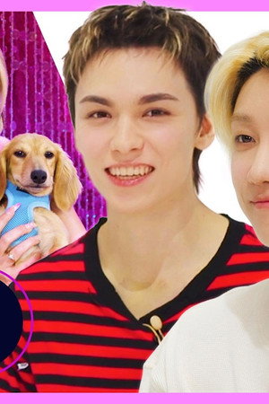 SEVENTEEN's V8 Answers Your Calls: Thirst Tweets, Shrek, Clubbing
