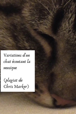 Variations d’un chat écoutant la musique (plagiat de Chris Marker)