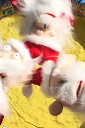 Especial navideño