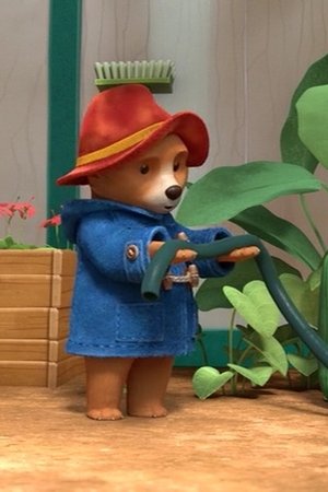Paddington's Plant Problem