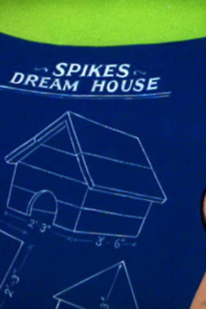 The Dog House