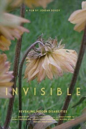 Invisible - Revealing Hidden Disabilities
