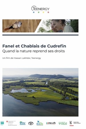 Fanel et Chablais de Cudrefin - Quand la nature reprend ses droits
