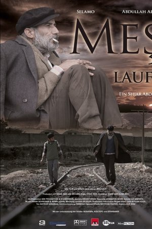 Meş