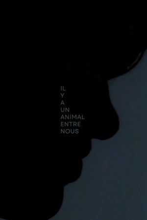 Il y a Un Animal Entre Nous