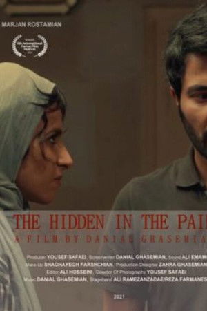 The Hidden in the Pain