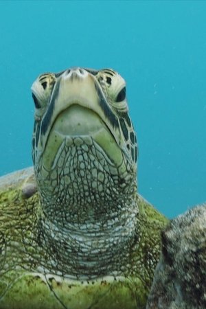 6. epizoda