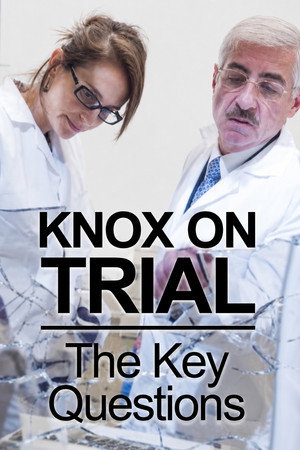 Amanda Knox Trial: 5 Key Questions poster