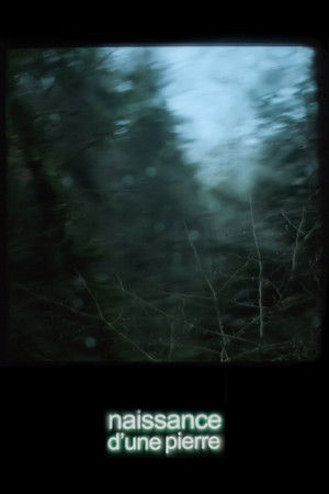 Once There Was a Storm