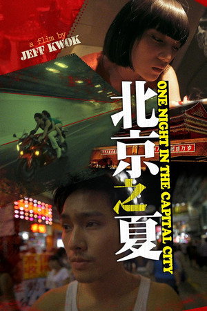 One Night in the Capital City poster