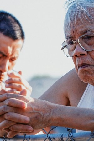 Prófugo por accidente