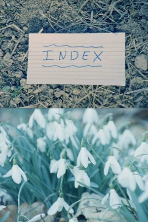 Index poster