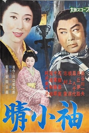 晴小袖