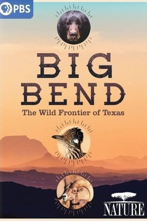 Big Bend: The Wild Frontier of Texas