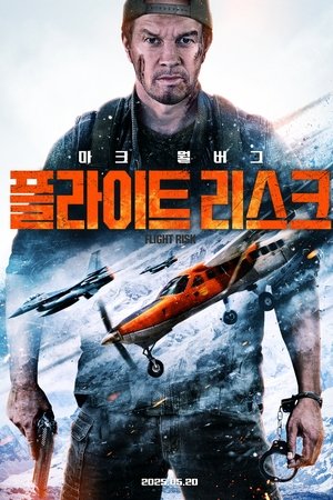 플라이트 리스크