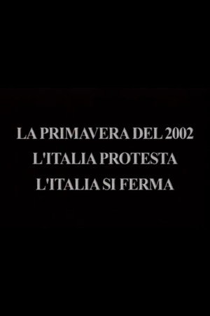The Spring of 2002 - Italy Protests, Italy Stops