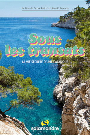 Beneath the Beach Chairs - The Secret Life of a Calanque poster