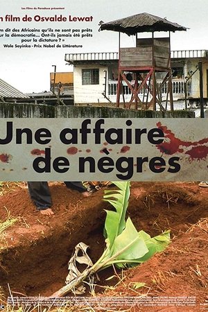 Poster of Une affaire de nègres