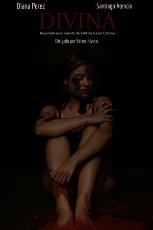 Divina poster