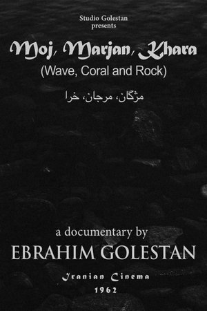 Wave, Coral and Rock