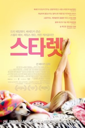 스타렛