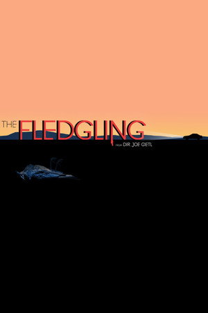 The Fledgling poster