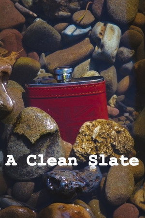 A Clean Slate poster
