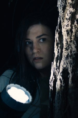 Stranger in the Woods