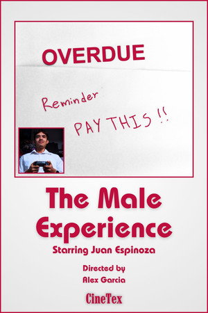 The Male Experience poster