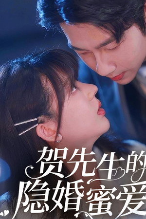 贺先生的隐婚蜜爱