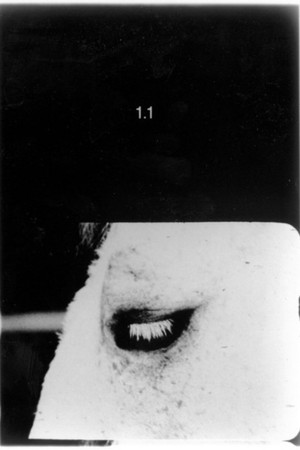 Pocket Cinema - The Catalogue poster