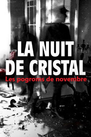 La Nuit de cristal : Les pogroms de novembre
