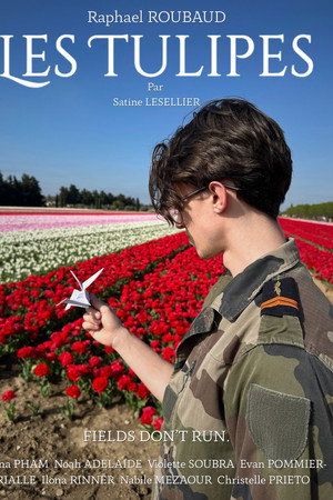 The Tulips