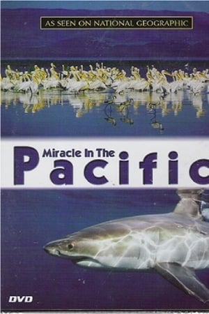 Miracle in the Pacific