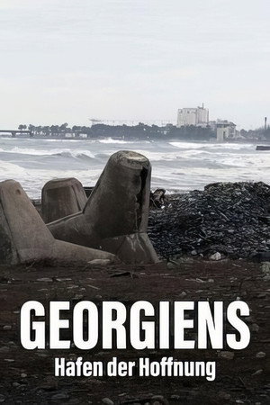 Géorgie - Le port de tous les enjeux poster