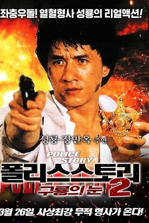 폴리스 스토리 2: 구룡의 눈