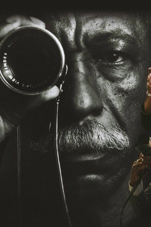 A Choice of Weapons: Inspired by Gordon Parks