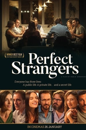 Tobuli melagiai / Perfect Strangers (2016)