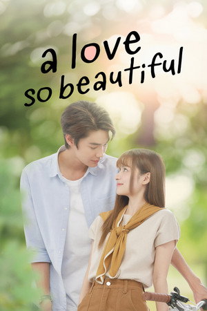 A Love So Beautiful