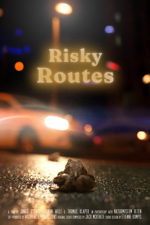 Risky Routes poster