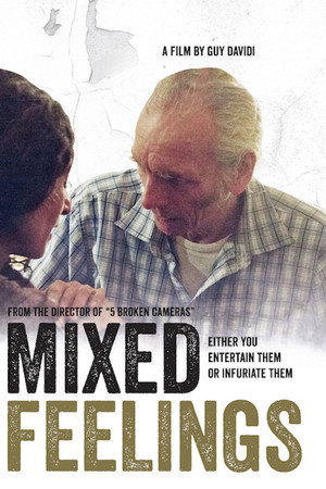 Mixed Feelings poster