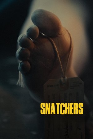 Snatchers