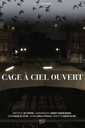 Cage À Ciel Ouvert poster