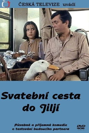 1cyzgqg0zjk80yzb7srz4xrmxuk