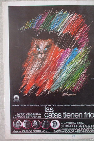 Las gatas tienen frío