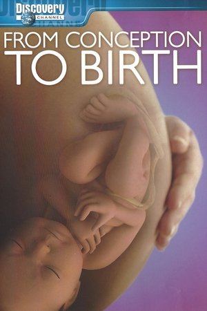 Poster of From Conception to Birth