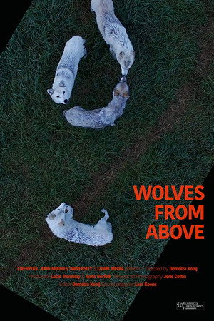 Wolves From Above poster